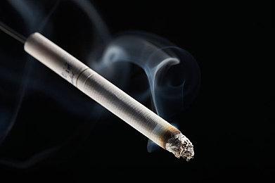 Curve Digital冒险新作《我是小鱼儿》即将发售，做一条不惧困难的小鱼